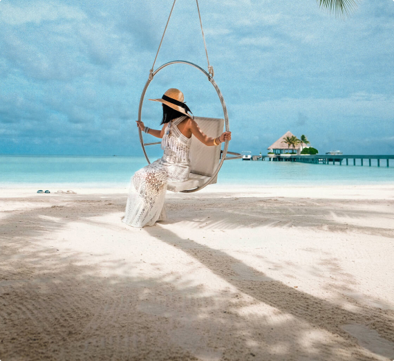 Polygon Gas Fees and Transfer Cost